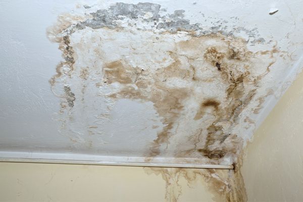 Reparación de humedades - Empresa de impermeabilizaciones en Pamplona y Navarra